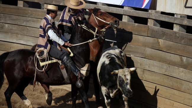 Senador PPD invocará la 