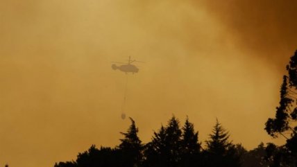   Decenas de incendios forestales mantienen en alerta a Portugal 