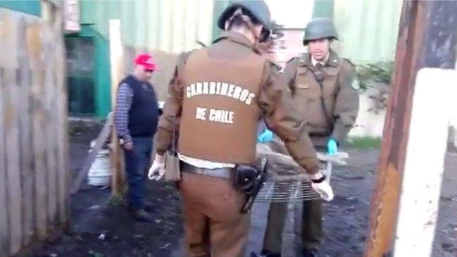 Carabineros llamó a denunciar maltrato animal tras caída de perro desde tercer piso