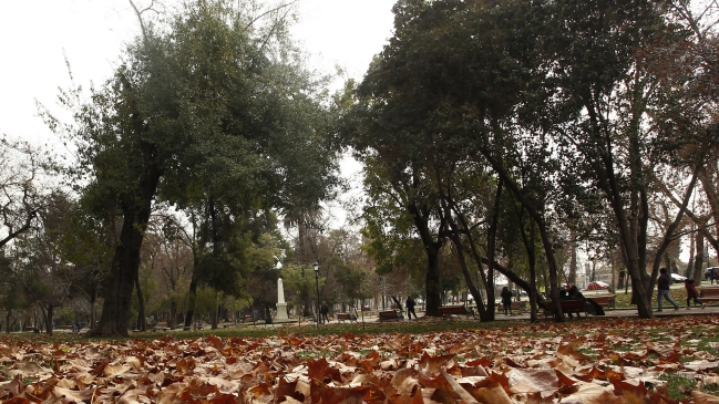 Vecinos reúnen firmas para evitar posible cierre nocturno del Parque Forestal