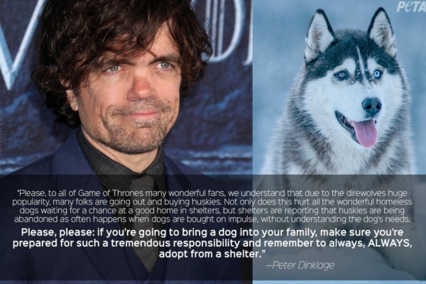 Imagen foto_00000002