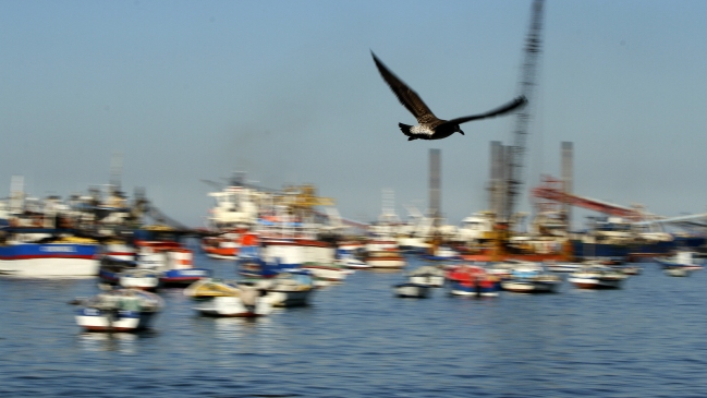 Armada denunció existencia de piratas en la Región del Biobío