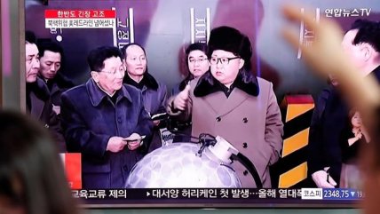   En qué consiste la relación comercial entre Chile y Corea del Norte 