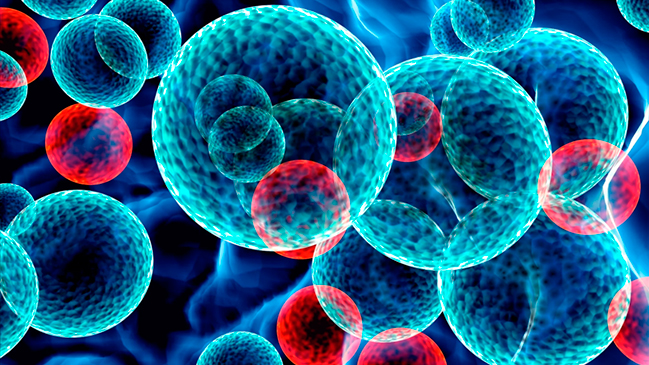 Explican vínculo entre la falta de vitamina C y el desarrollo de leucemia