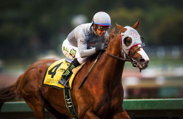 Encargado del viaje del California Chrome: Le gustaron las yeguas chilenas