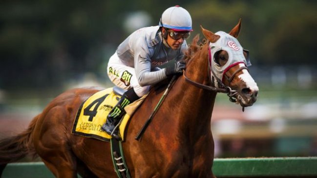 Encargado del viaje del California Chrome: Le gustaron las yeguas chilenas