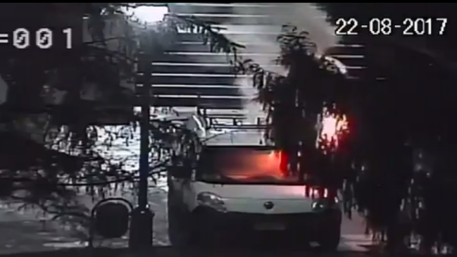 Campus de la U. de Concepción resultó con graves daños tras marcha ambientalista