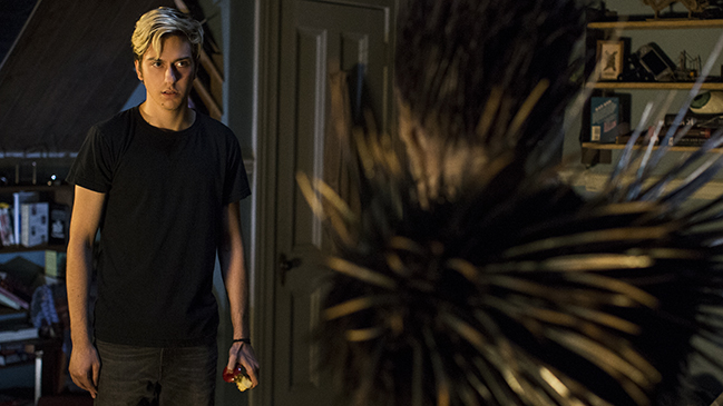 Imagen foto_00000004