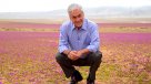 Experto por desierto florido: Si estamos pisando una flor, le quitamos el potencial reproductivo