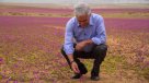 Experto advirtió de los riesgos que implica pisar el desierto florido