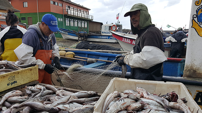 FAO pidió a los países atender los derechos de los pequeños pescadores