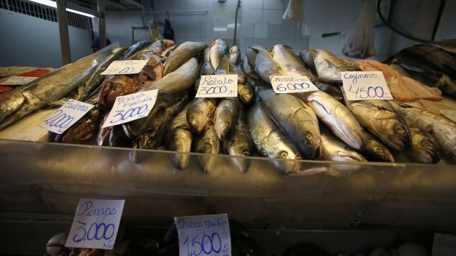 El viernes comienza la veda de la merluza en todo Chile