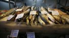 El viernes comienza la veda de la merluza en todo Chile