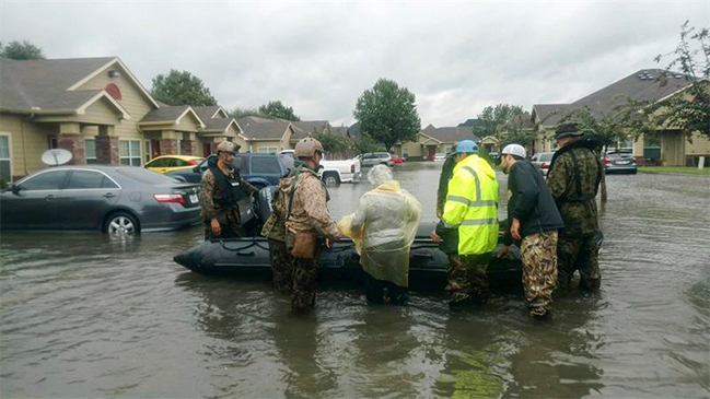 Imagen foto_00000015