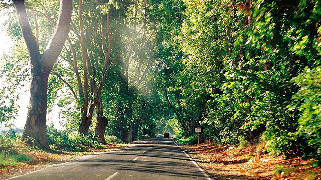 Arriero falleció tras caer en una quebrada en el Parque La Campana