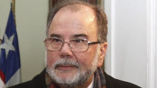 Rodríguez Grossi: Si Dominga se readapta puede volver a presentarse