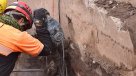Hallan cementerio indígena más grande de Chile durante trabajos de Línea 6