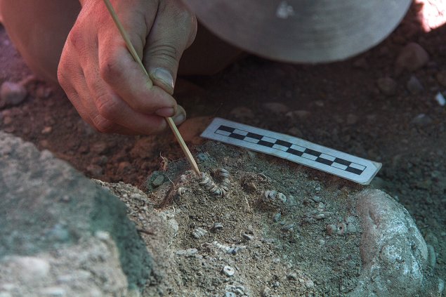 Imagen foto_00000019