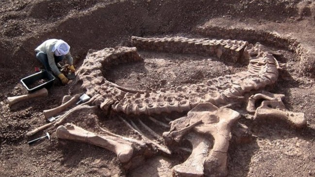 Polémica por venta de restos de dinosaurio en Facebook