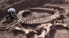 Polémica por venta de restos de dinosaurio en Facebook