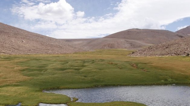 Tras rechazo a Dominga, comité de ministros revisa proyecto minero Cerro Casale