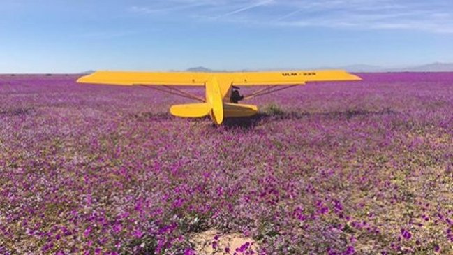 DGAC por aterrizaje en desierto florido: No recibimos ninguna notificación de emergencia