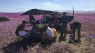 Habla piloto que aterrizó en el desierto florido: \