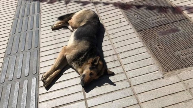 La triste historia detrás de 