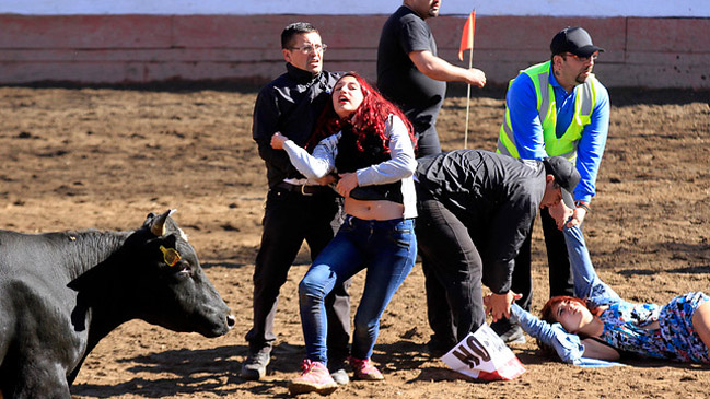 Enfrentamiento entre animalistas y asistentes a rodeo 