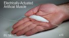 Desarrollan un material equivalente al músculo humano para robots