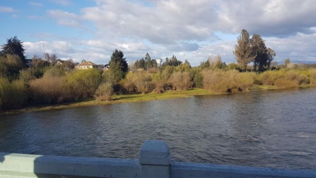 Carabineros halló cadáver en ribera del río Cruces en Mariquina