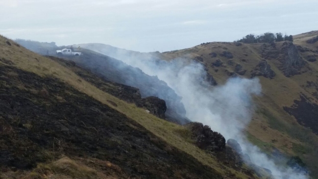Brigadistas de Conaf realizarán capacitaciones tras incendio en Isla de Pascua