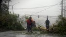 Huracán María deja daños \
