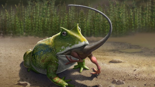 Científicos descubrieron que rana gigante comía dinosaurios