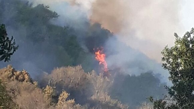Seis detenidos por presunta responsabilidad en incendio forestal en Santo Domingo
