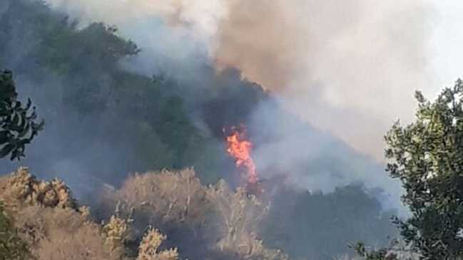 Autoridades se querellaron contra responsables de incendio forestal en Santo Domingo