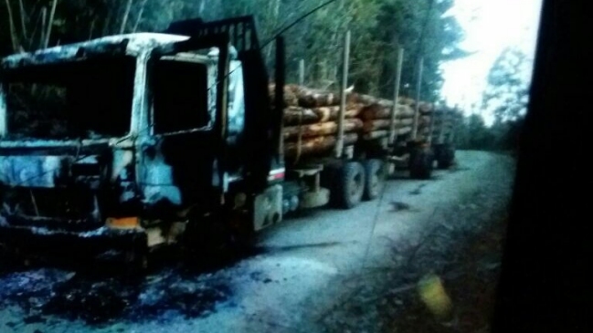 Camión forestal fue destruido en ataque incendiario en Contulmo