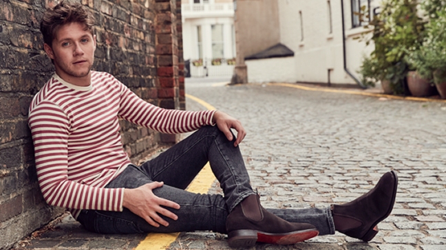 El One Direction Niall Horan confirmó show en Chile