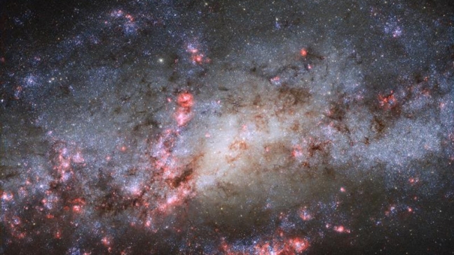 Estudio dice que meteoritos y lagunas de agua fueron el origen de la vida