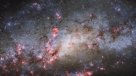 Estudio dice que meteoritos y lagunas de agua fueron el origen de la vida