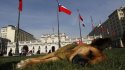 El perro Sultán vaticinó un reñido empate entre Chile y Ecuador