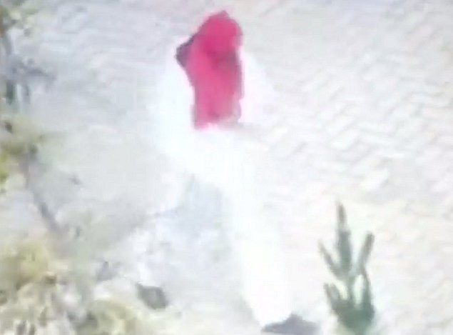 Imagen foto_00000017