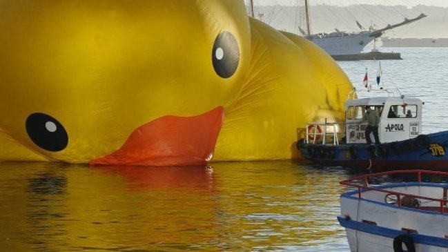 Crean juego donde tienes que salvar al pato de hule