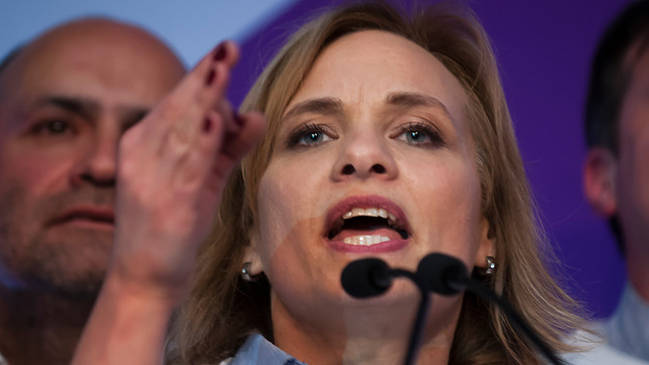 Goic llamó a aprobar reforma a pensiones 