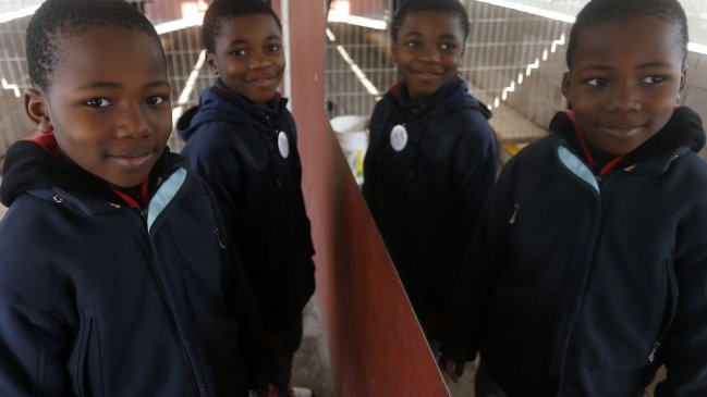 Niños y niñas inmigrantes se verán beneficiados por entrega de visas