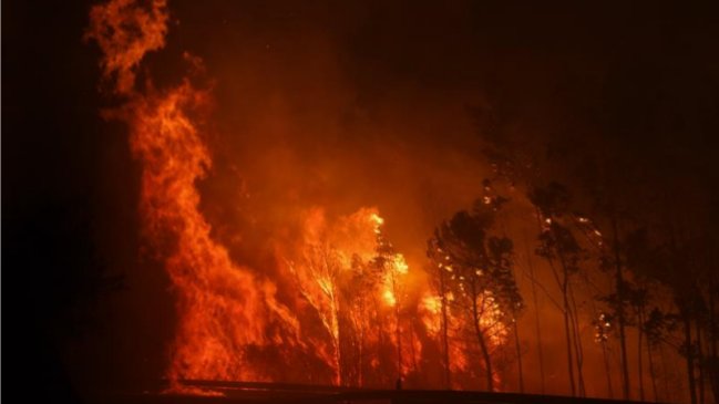 Al menos cinco muertos y más de 20 de heridos por incendios en Portugal