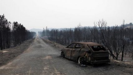   Portugal: La devastación causada por los incendios forestales 