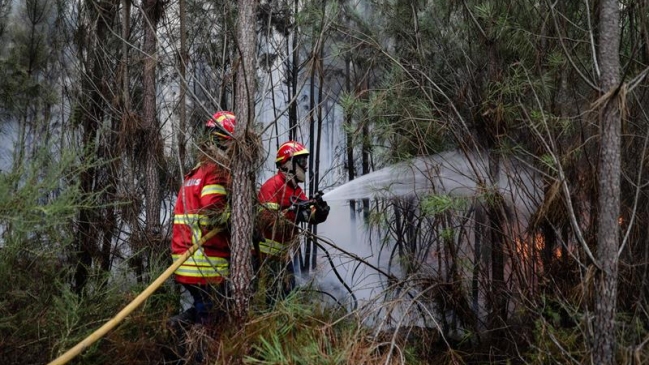Autoridades controlaron todos los incendios que afectaban al centro y norte de Portugal