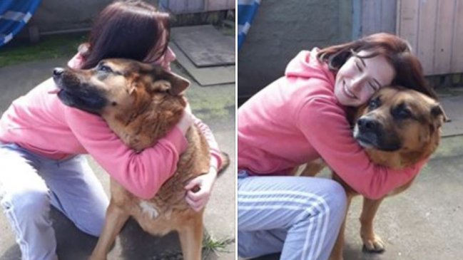 La tierna campaña que quiere llevar a perro callejero desde Coronel a Rusia