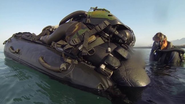 Hombre robó un zodiac y mordió a un carabinero en Valdivia